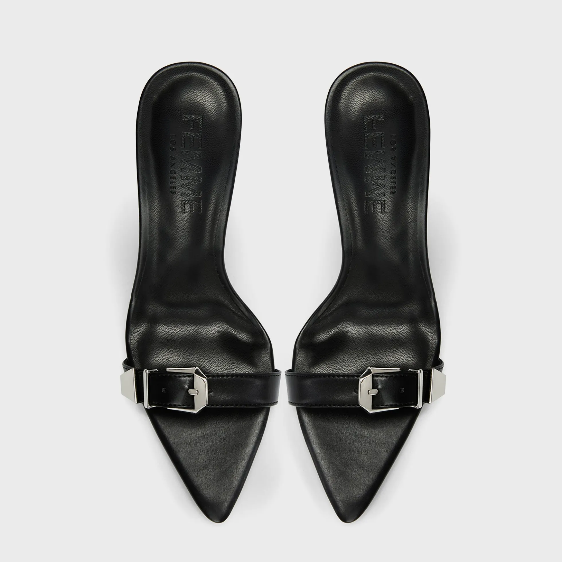 Carter Mule