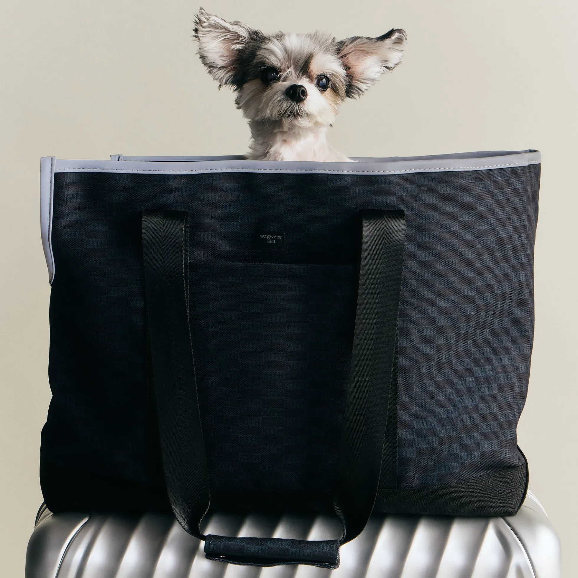 Kith for wagwear Carpenter Bag Carrier