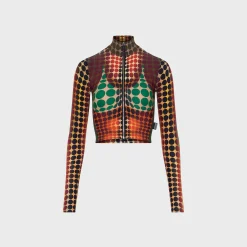Re-Edition Cropped Long Sleeves Top